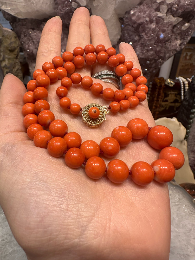 Rare Antique Italian Red Coral Necklace with 14K Gold & Coral Clasp