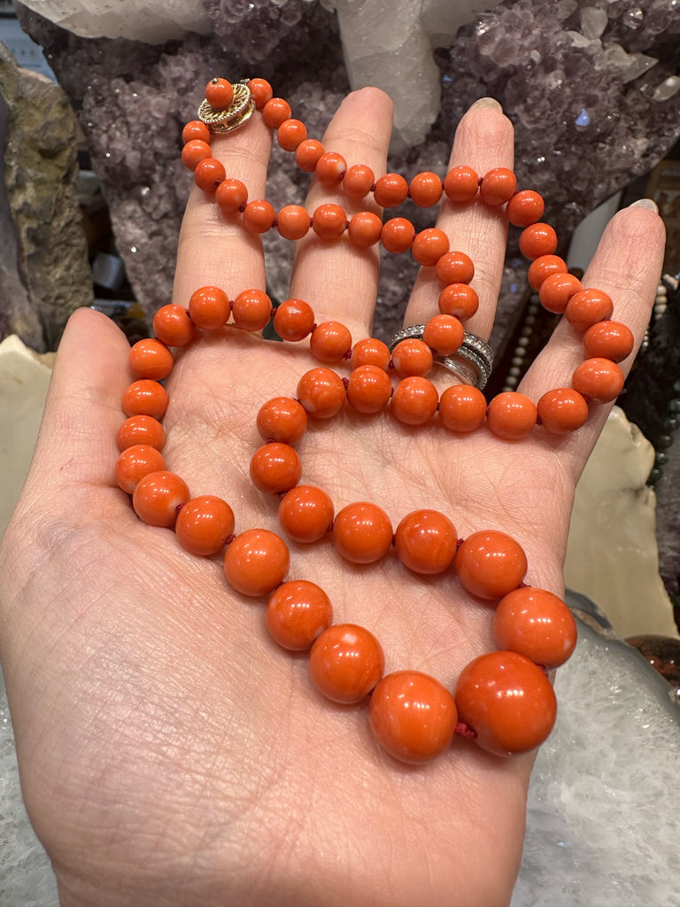 Rare Antique Italian Red Coral Necklace with 14K Gold & Coral Clasp