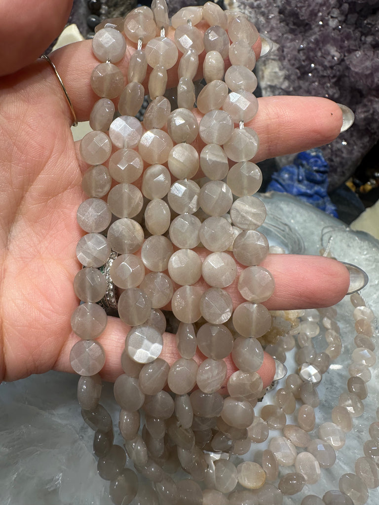 Champagne Moonstone faceted coin 8mm gemstone beads