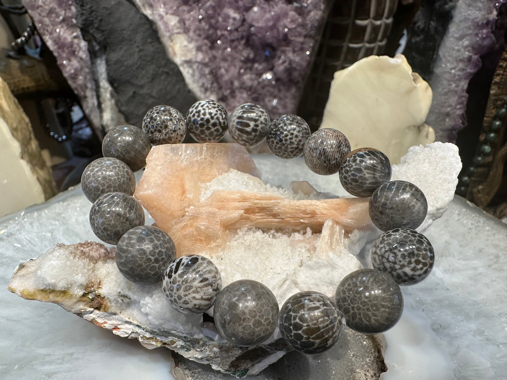 Bryzoan coral fossil 13.5mm gemstone bracelet a